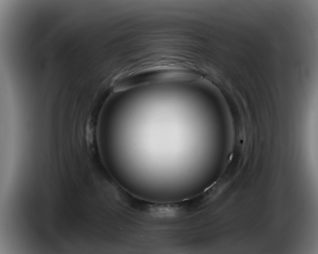 X0000086100282200703301221