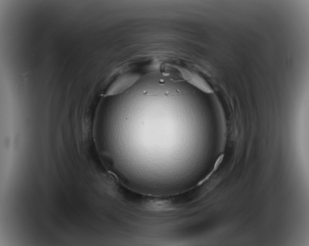 X0000086100283200703301221