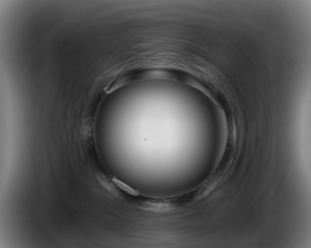 X0000086100284200703301221