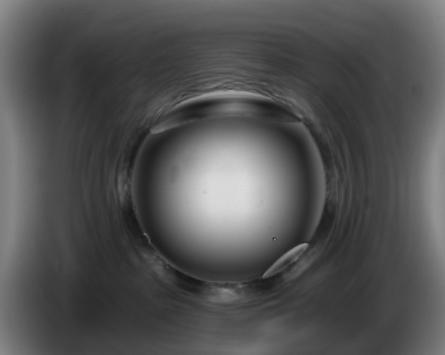 X0000086100285200703301221