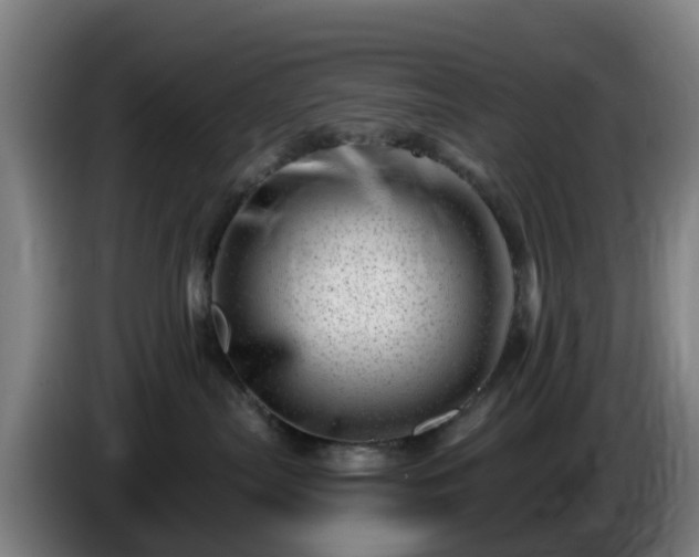 X0000086100287200703301221