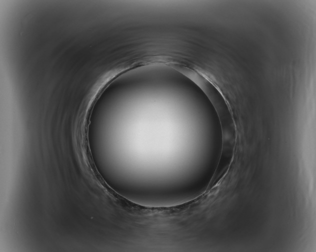 X0000086100289200703301221