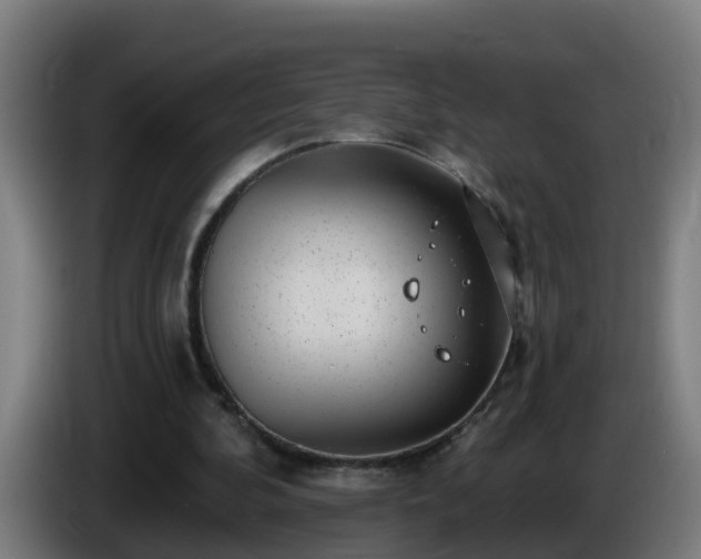X0000086100292200703301221