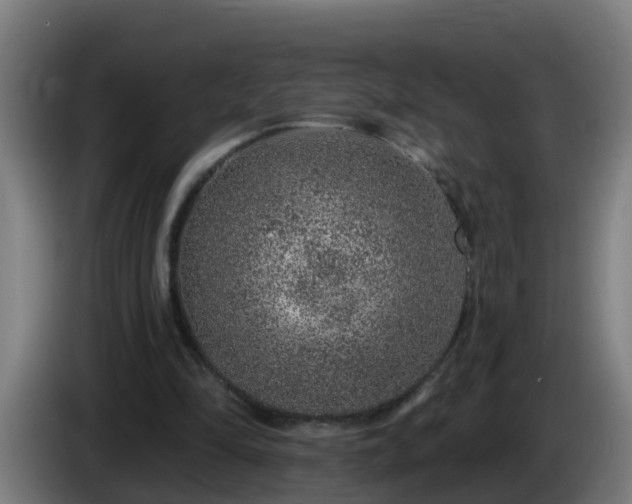 X0000086100294200703301221