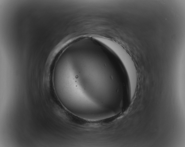 X0000086100295200703301221