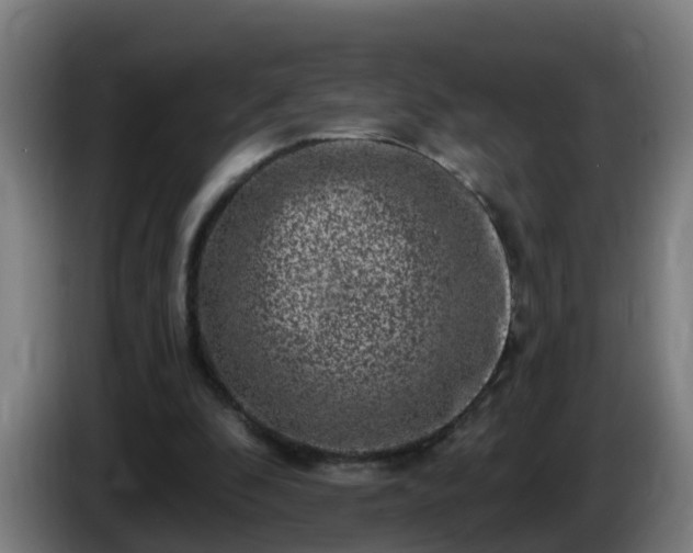 X0000086100296200703301221