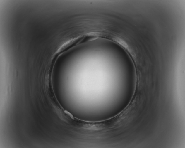 X0000086100297200703301221