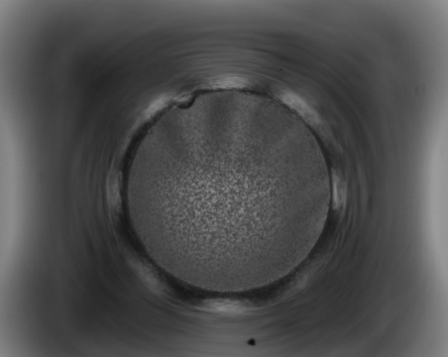 X0000086100300200703301221