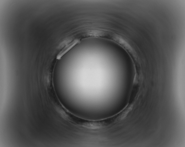 X0000086100305200703301220