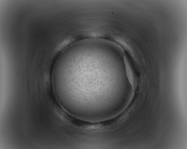 X0000086100306200703301220