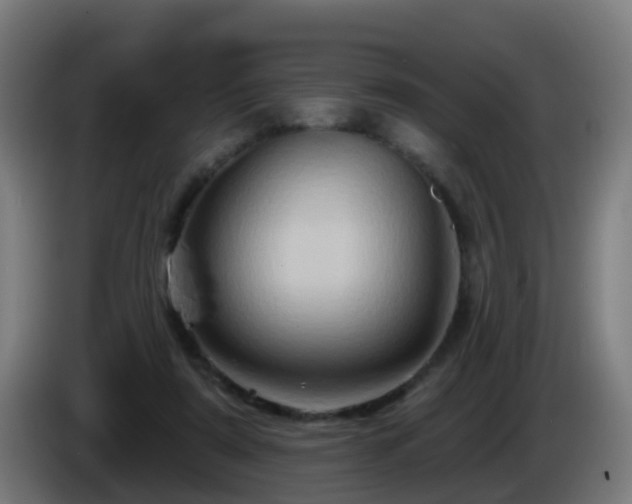 X0000086100307200703301220