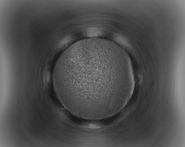 X0000086100308200703301220