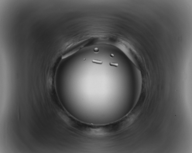 X0000086100309200703301220