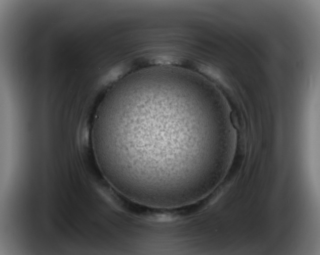 X0000086100310200703301220