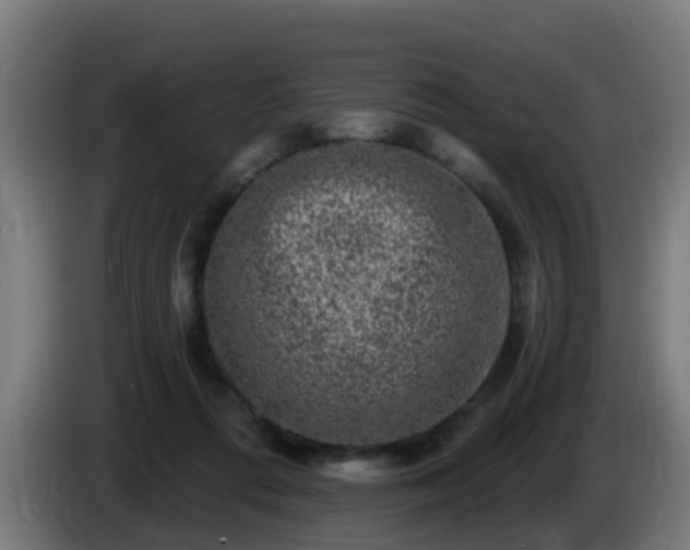 X0000086100312200703301220