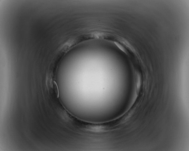 X0000086100313200703301220