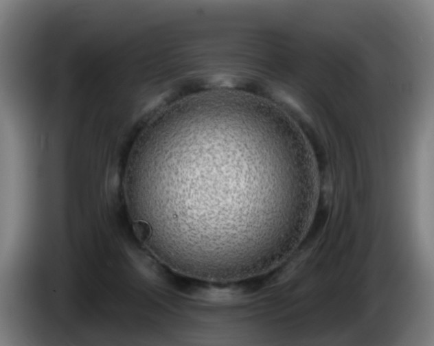 X0000086100314200703301220
