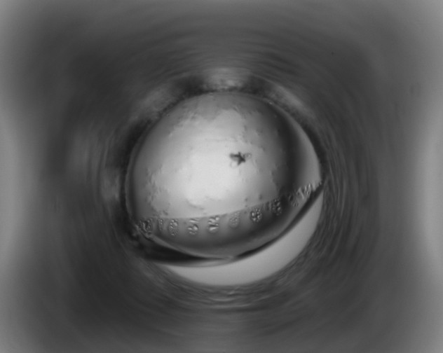 X0000086100315200703301220