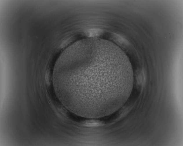 X0000086100316200703301220