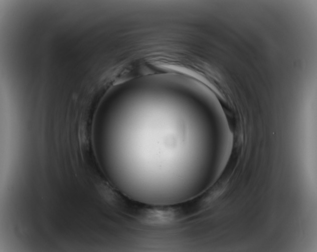 X0000086100317200703301220