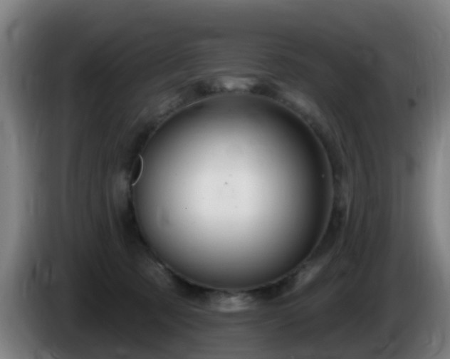 X0000086100321200703301220