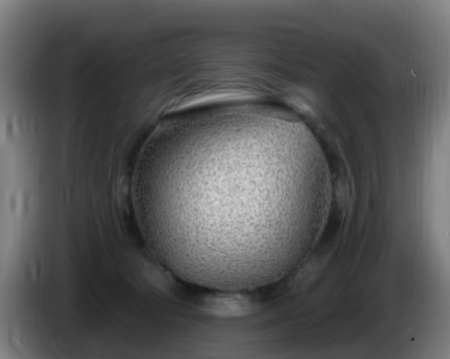 X0000086100322200703301220