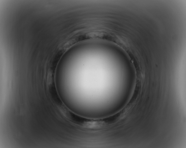 X0000086100323200703301220