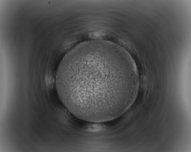 X0000086100324200703301220