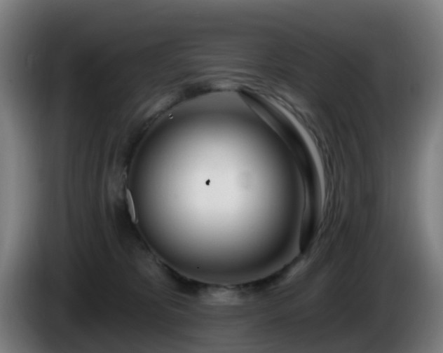 X0000086100325200703301220