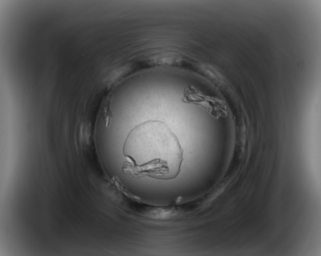 X0000086100326200703301220