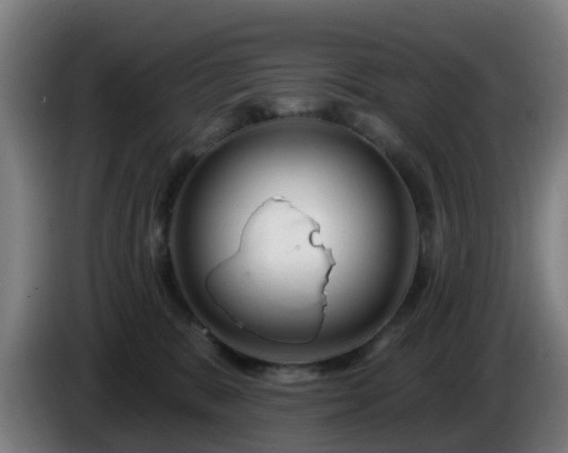 X0000086100327200703301220