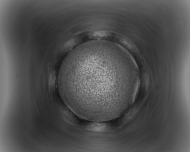 X0000086100328200703301220