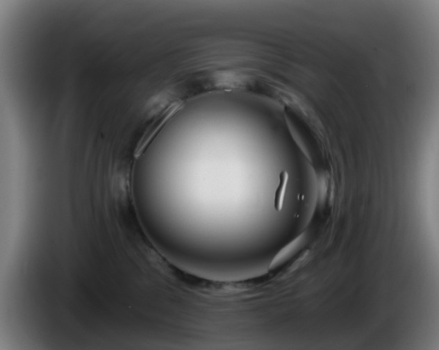 X0000086100329200703301220