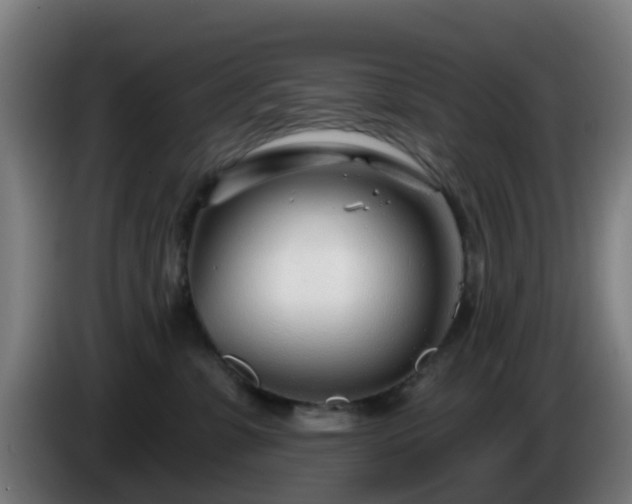 X0000086100331200703301220