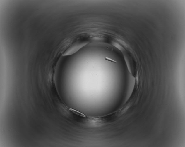 X0000086100333200703301220
