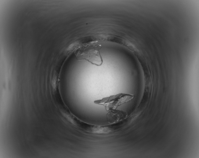 X0000086100334200703301220