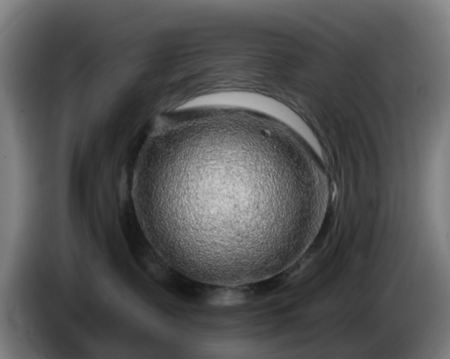 X0000086100335200703301220