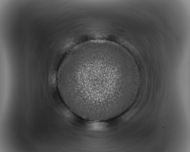 X0000086100336200703301220