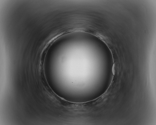 X0000086100338200703301219