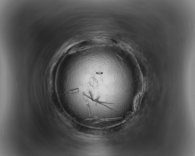 X0000086100339200703301219