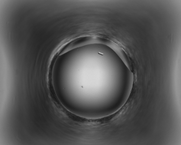 X0000086100340200703301219