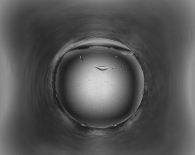X0000086100341200703301219