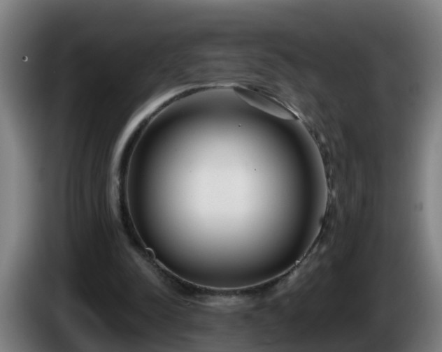 X0000086100342200703301219