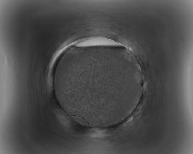X0000086100343200703301219