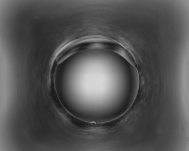 X0000086100344200703301219