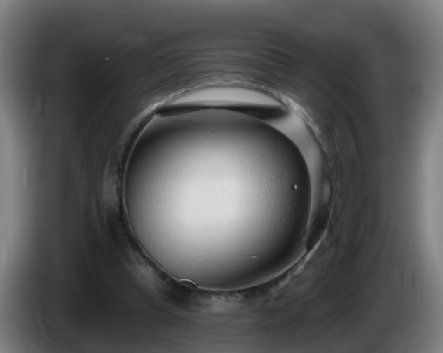 X0000086100345200703301219