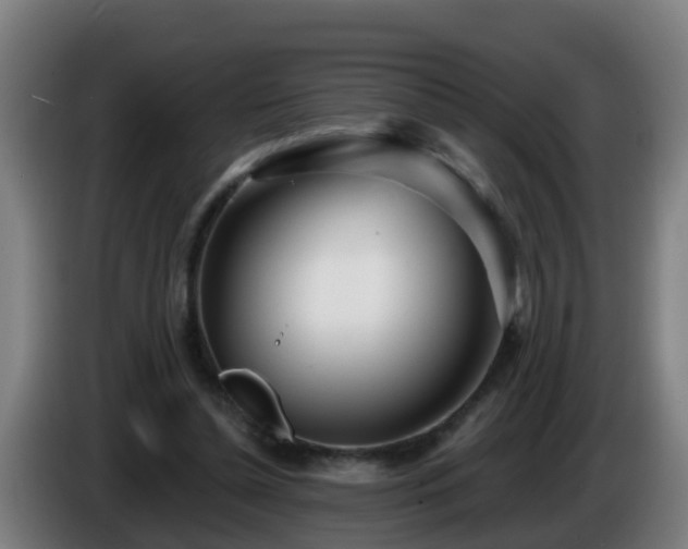 X0000086100348200703301219