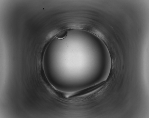 X0000086100349200703301219