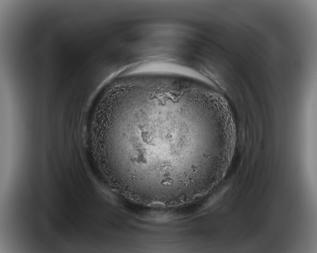 X0000086100351200703301219