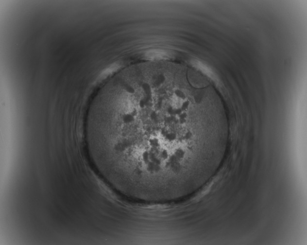 X0000086100353200703301219